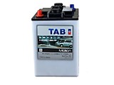 Тяговый аккумулятор TAB Motion Tubular Golf Cart TS (6 Вольт)