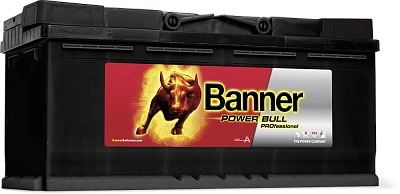 Автомобильный аккумулятор BANNER Power Bull Pro (100 40) 100R 820A